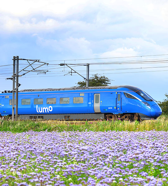 Lumo train next to a field of purple flowers