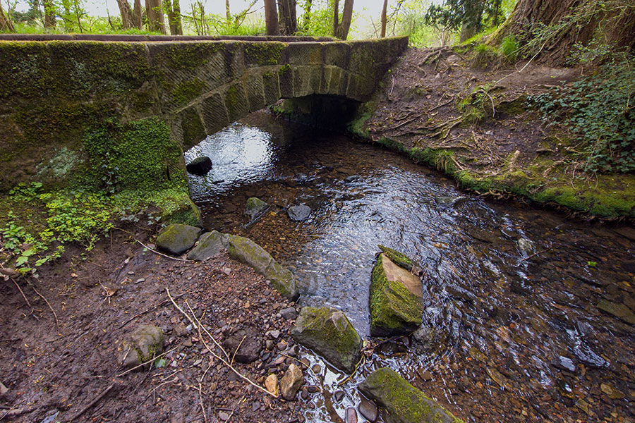 Baron's Haugh Nature Reserve