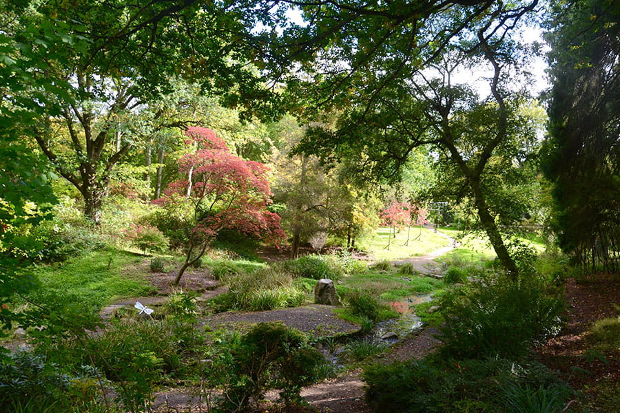 Dalzell Estate Gardens