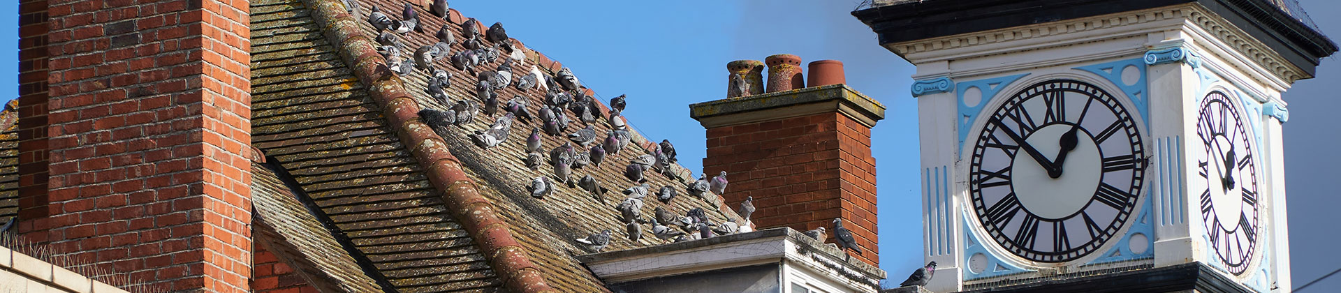 Old tower with clock