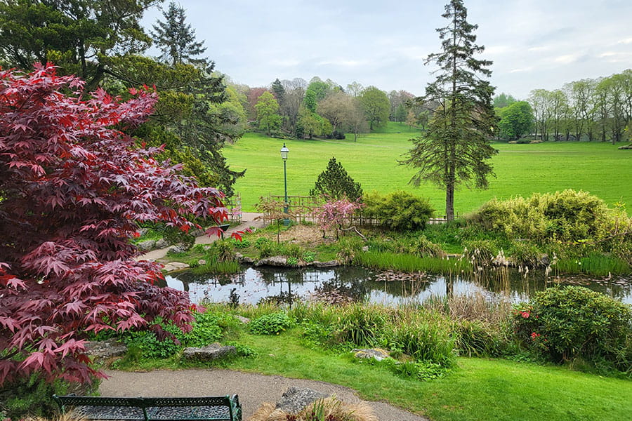 Japanese Garden in Avenham Park Preston