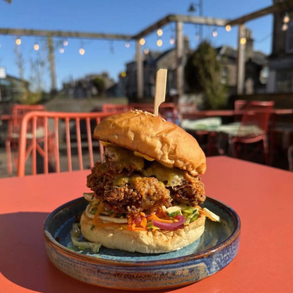 Chicken sandwich on a plate