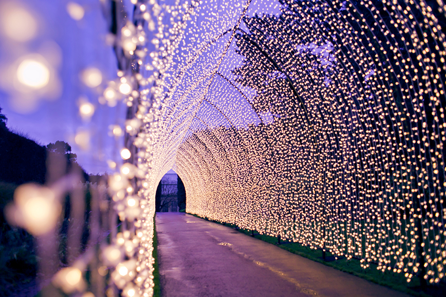 Christmas lights tunnel