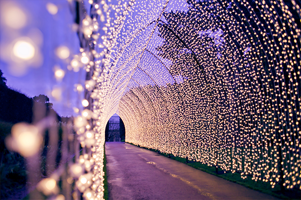 Christmas lights tunnel