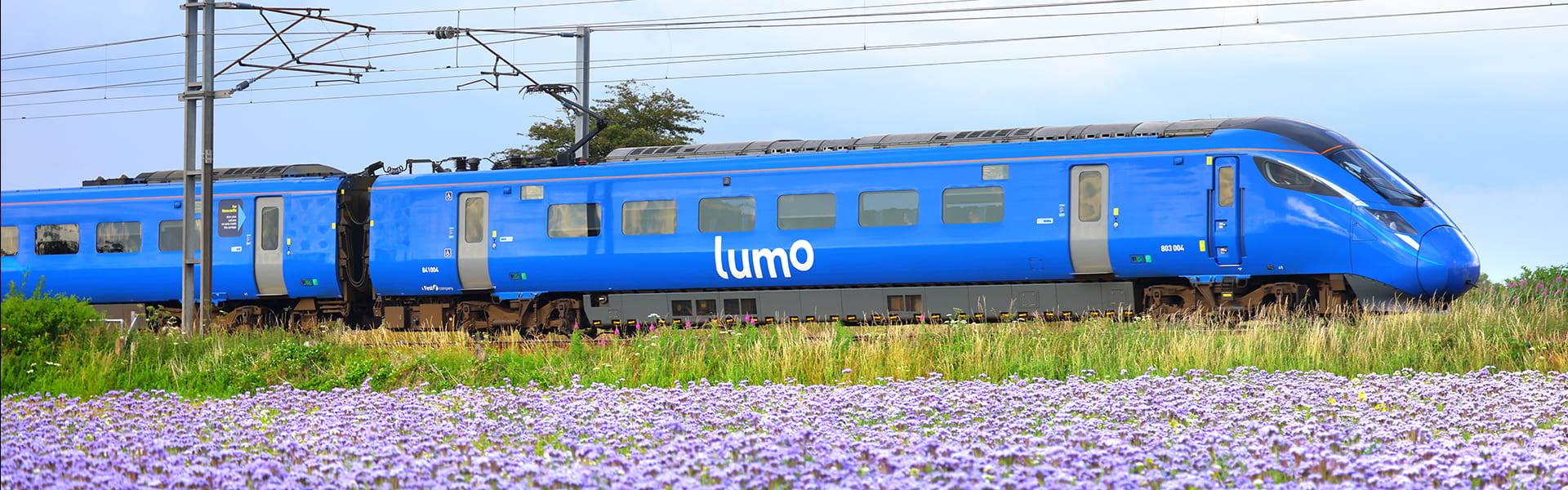 Lumo train 